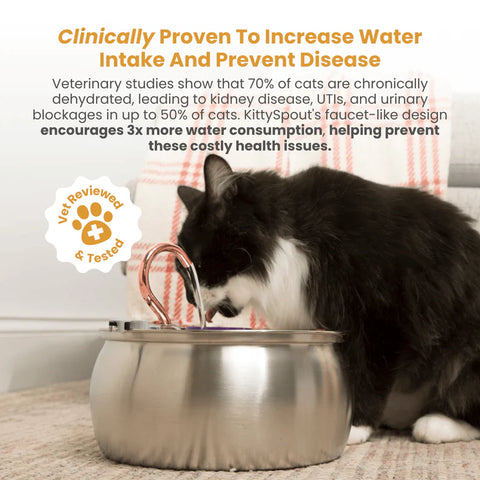 FeedoraPet™ Elevated Stainless Steel Dog & Cat Bowl Set | Vet-Recommended Raised Pet Feeding Station