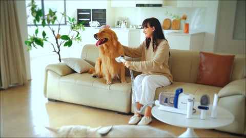 Feedorapet™ Dog Grooming Kit with Vacuum