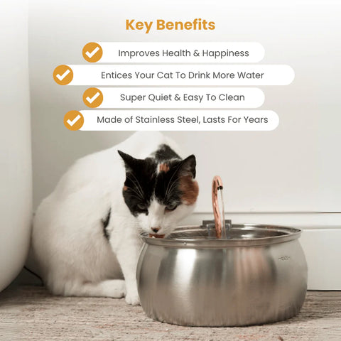 FeedoraPet™ Elevated Stainless Steel Dog & Cat Bowl Set | Vet-Recommended Raised Pet Feeding Station