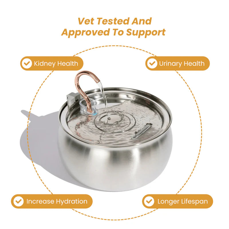 FeedoraPet™ Elevated Stainless Steel Dog & Cat Bowl Set | Vet-Recommended Raised Pet Feeding Station