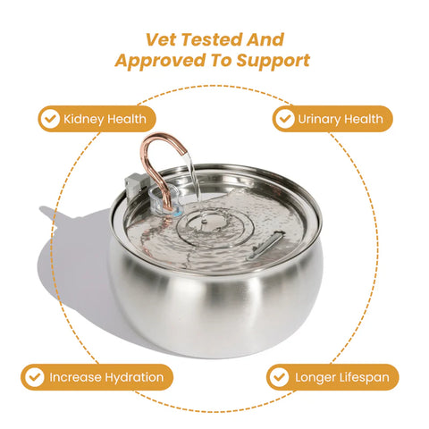 FeedoraPet™ Elevated Stainless Steel Dog & Cat Bowl Set | Vet-Recommended Raised Pet Feeding Station