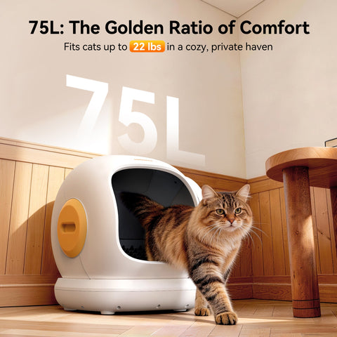 FeedoraPet Self-Cleaning Cat Litter Box – Smarter, Safer &amp; Cleaner Cat Care