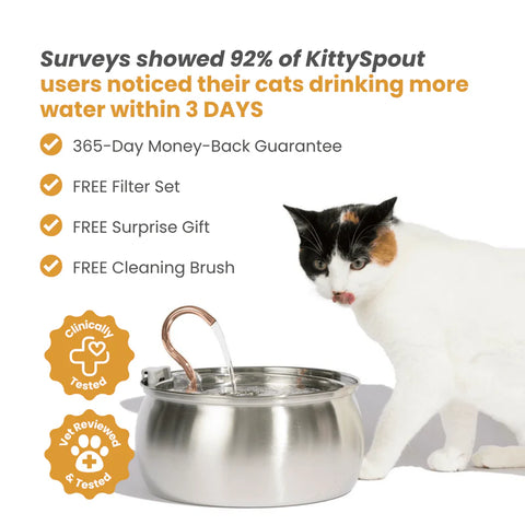 FeedoraPet™ Elevated Stainless Steel Dog & Cat Bowl Set | Vet-Recommended Raised Pet Feeding Station