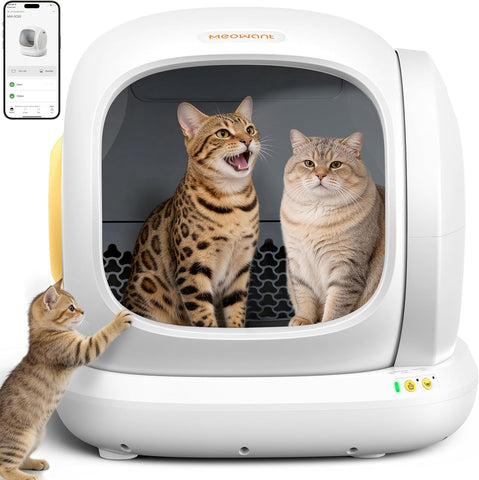 FeedoraPet Self-Cleaning Cat Litter Box – Smarter, Safer &amp; Cleaner Cat Care