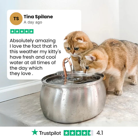 FeedoraPet™ Elevated Stainless Steel Dog & Cat Bowl Set | Vet-Recommended Raised Pet Feeding Station