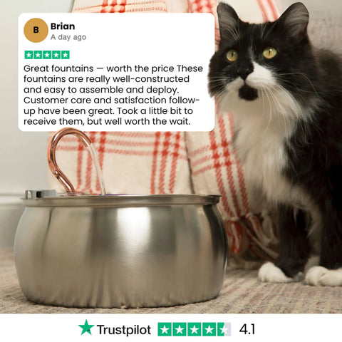 FeedoraPet™ Elevated Stainless Steel Dog & Cat Bowl Set | Vet-Recommended Raised Pet Feeding Station