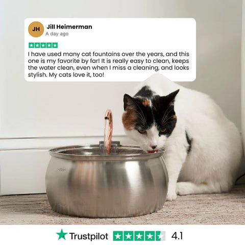 FeedoraPet™ Elevated Stainless Steel Dog & Cat Bowl Set | Vet-Recommended Raised Pet Feeding Station