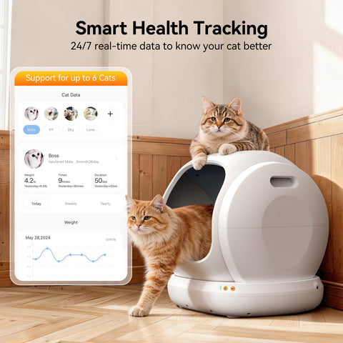 FeedoraPet Self-Cleaning Cat Litter Box – Smarter, Safer &amp; Cleaner Cat Care