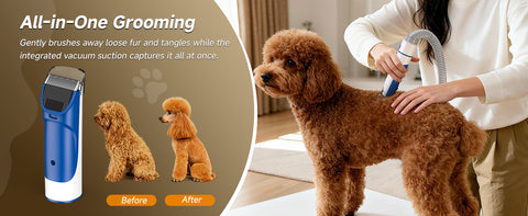 Feedorapet™ Dog Grooming Kit with Vacuum