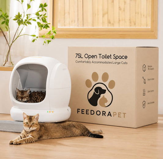 FeedoraPet Self-Cleaning Cat Litter Box – Smarter, Safer &amp; Cleaner Cat Care